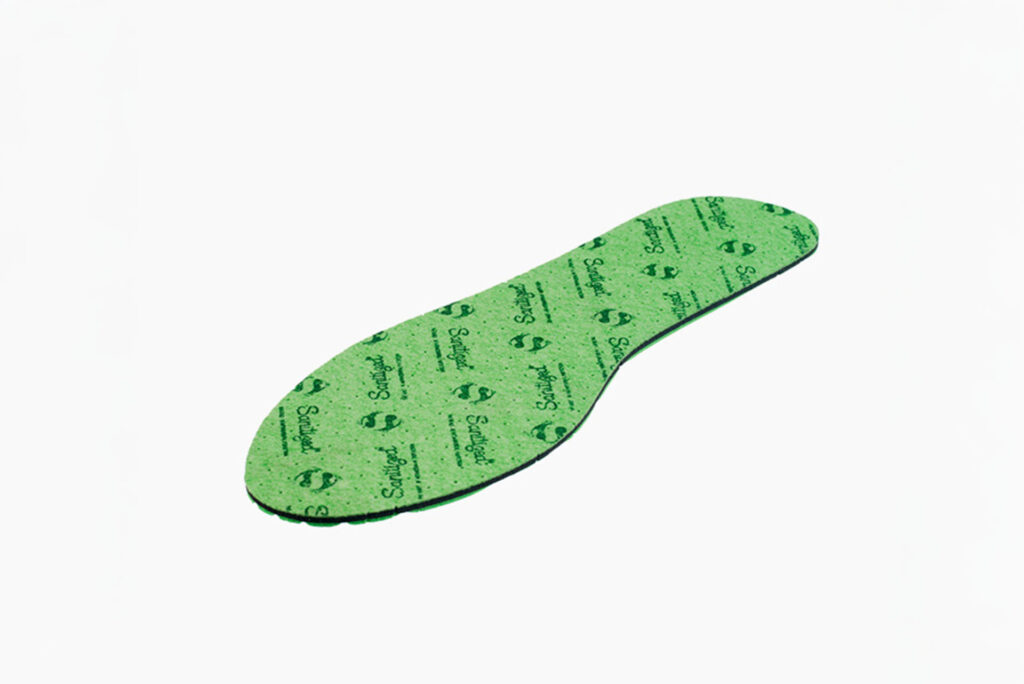 PLANTILLA BASICA FLEXOLE VERDE